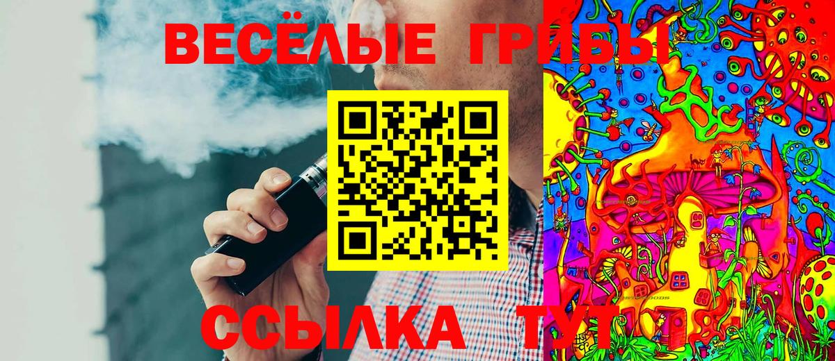 Псилоцибиновые грибы мицелий Солнечногорск